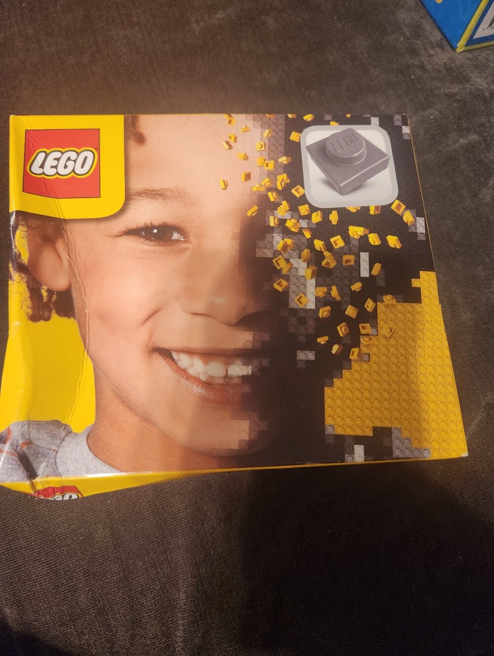 Lego 1x1 Brick Dark Grey Coloured